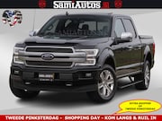 Ford F-150 - VOL OPTIES | | MASSAGE STOELEN | 4X4 381PK |360 CAMERA | OPE