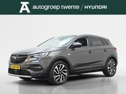 Opel Grandland - 1.2 Turbo Business Executive | Trekhaak | All-seasons