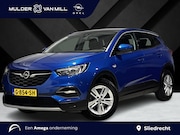 Opel Grandland - Business Executive 1.2 Turbo 130pk | NAPPA LEDER | PANODAK |