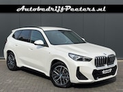 BMW X1 - xDrive25e M Sport Shadow Leder LED Camera Cruise E.klep Sfee