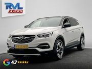 Opel Grandland X - 1.2 Turbo Business Executive | Origineel NL | Stoel/Stuur Ve
