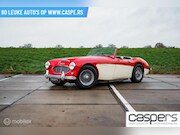 Austin Healey - Austin-healey