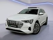 Audi e-tron - 55 quattro Business edition Plus 95 kWh|PANO|MEMORY|NAP|INRU