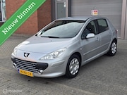 Peugeot 307 - 1.6-16V XS_Airco_Apk