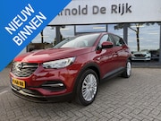 Opel Grandland X - 1.6 Turbo Hybrid Business Executive
