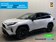 Toyota RAV4 - 2.5 Hybrid Style TWOTONE-LEDER-360°CAMERA-JBL.SOUND-ECC-LANE