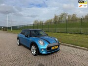 MINI Cooper - Mini 1.5 Salt Business