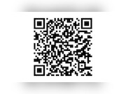 Fiat Panda - 1.2 SKY
