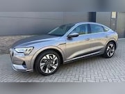 Audi e-tron - Sportback 55 quattro Business edition 95 kWh SOH 9