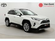 Toyota RAV4 - 2.5 Hybrid AWD Executive | Panoramadak | Leder | Dodehoek de