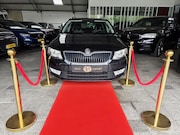 Skoda Octavia - 1.6 TDI DSG Elegance Businessline 2014
