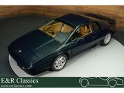 Lotus Esprit - Turbo SE Coupe | 1990