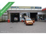 Fiat Panda - 1.2 Young