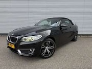 BMW 2-serie - Cabrio 220i Luxury Automaat Leer keyless L