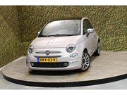 Fiat 500 - 1.0 Hybr. Star | Pink | P. sensor | Cruise cntrl. | Carplay
