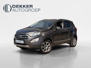 Ford EcoSport - 1.0 EcoBoost Titanium DRIVER ASSISTANCE PACK I TREKHAAK I AP