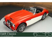 Austin Healey - Cabriolet | 1958