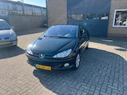 Peugeot 206 - CC 1.6-16V Top onderhouden