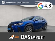 Lexus UX - 250h F-Sport Design