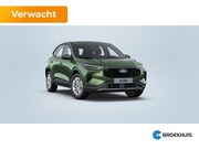Ford Kuga - 2.5 PHEV Trend Business | Winterpack | Full Led | Apple Carp