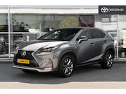 Lexus NX - 300h AWD F Sport Line