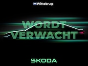 Skoda Fabia - 1.0 TSI Selection /Skoda