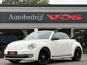 Volkswagen Beetle - Cabriolet 1.4 TSI Sport | DSG | CarPlay | Leder | Xenon