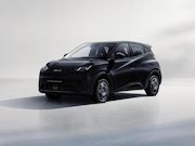 BYD Dolphin Surf - Boost | Proefrijden, inruilen of een voorstel? Neem direct c