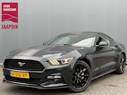 Ford Mustang - Fastback BWJ 10-2018 | 310 PK AUTOMAAT RTR RECARO INT. | CAR
