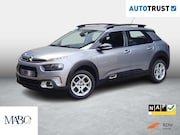 Citroën C4 Cactus - 1.2 110PK Business NL Auto | Dealer. onderh. | Trekhaak | Ca