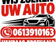 Opel Combo - WIJ ZOEKEN UW OPEL 0613910163