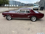 Ford Mustang - Ford Mustang Coupe 1966 - Burgundy C-code