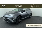 Toyota RAV4 - 2.5 Hybrid Black Edition