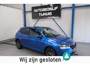 Skoda Fabia - 1.0 TSI Business Edition - N.A.P. Airco, Cruise, Carplay.