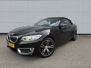 BMW 2-serie - 220i Luxury Automaat Leer keyless Led Afneembare trekhaak