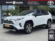 Toyota RAV4 - 2.5 Hybrid AWD Bi-Tone