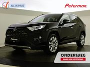 Toyota RAV4 - 2.5 Hybrid AWD Executive | Stoelventilatie | JBL | 360 camer
