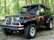 Jeep Wrangler - 2.5i Hardtop LEUKE ORIGINELE WRANGLER