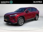 Toyota RAV4 - 2.5 Hybrid AWD Executive | Trekhaak | Treeplanken | Bearlock
