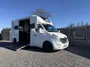 Renault Master - | HORSETRUCK | STX | STALLION 3XL | 2017 | HENGST | 81.501KM