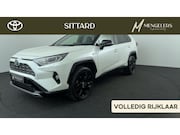 Toyota RAV4 - 2.5 Hybrid Bi-Tone