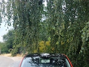 Fiat 500 - 1.2 Pop