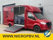 Mercedes-Benz Sprinter - 317CDI Paardenwagen-Hengsten Uitvoering Automaat Airco Navi