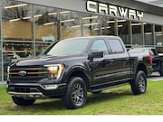 Ford F-150 - 3.5 EcoBoost Tremor Black Edition BPM-VRIJ