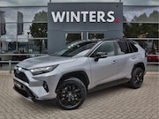 Toyota RAV4 - 2.5 Hybrid Executive Bi-Tone | Schuifdak | 360 Camera | Lede