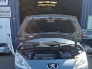 Peugeot 1007 - 1.4-16V Gentry