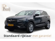 Opel Grandland X - 1.2 Turbo Business Edition | Winter pakket | Achteruitrijcam