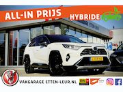 Toyota RAV4 - 2.5 Hybrid Bi-Tone | TREKHAAK | JBL | STOELVERW. | ELEK. KLE