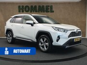 Toyota RAV4 - 2.0 VVT-iE First Edition - ORIGINEEL NEDERLANDSE AUTO - VAST