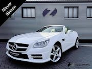 Mercedes-Benz SLK-klasse - SLK 250 CarbonLOOK Edition